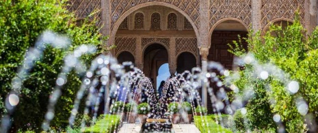 Patio w Alhambrze w Granadzie