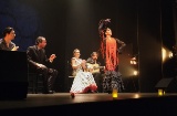 Espectáculo de flamenco en el Teatro Flamenco de Madrid