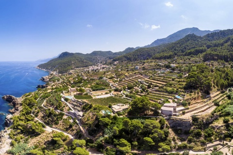 Vue panoramique de Banyalbufar (Majorque, îles Baléares), avec ses terrasses caractéristiques