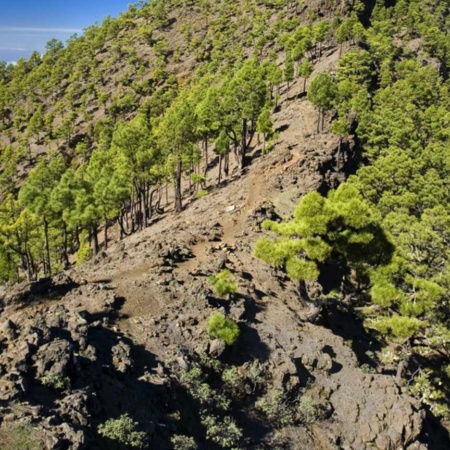 Национальный парк Кальдера-де-Табурьенте