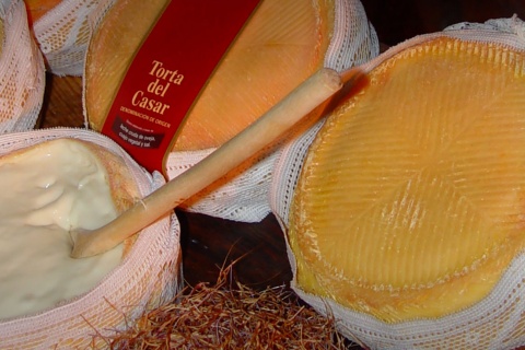 Torta del Casar cheese