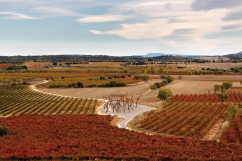 Пейзаж на маршруте виноделия в Сомонтано