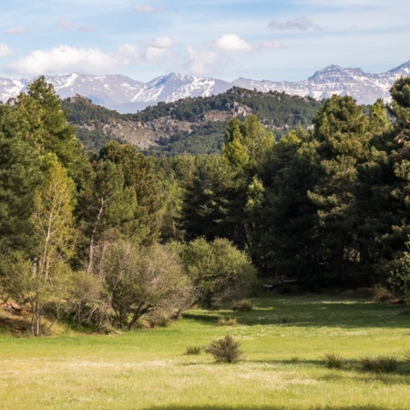 Parc naturel de Sierra de Huétor