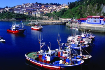 Port rybacki w Cudillero. Asturia