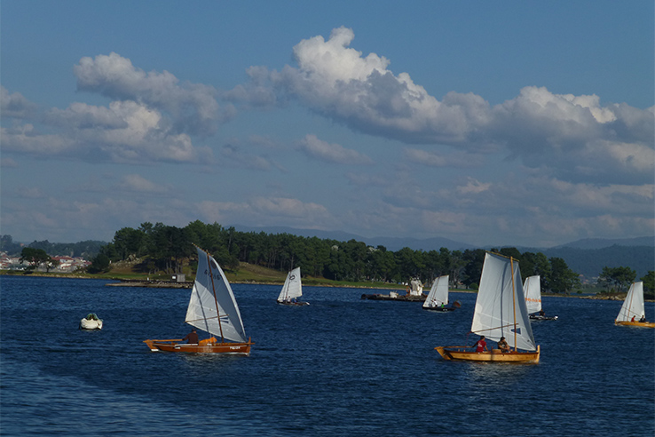 Regata de Dornas en la Fiesta del Marisco de O Grove (Pontevedra, Galicia) Regata de Dornas en la Fiesta del Marisco de O Grove (Pontevedra, Galicia)