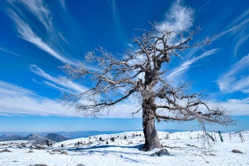Paisagem invernal no Parque Nacional da Sierra de las Nieves, Málaga