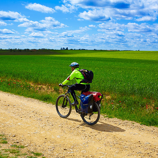 カスティージャ・イ・レオンの畑を自転車で巡る巡礼者