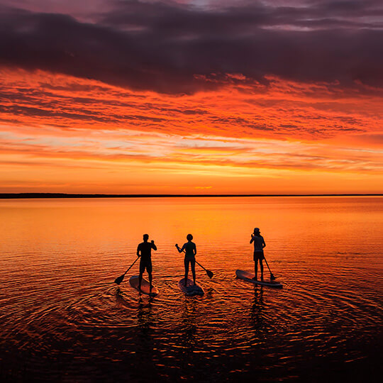 Three people paddle surfing at sunset
