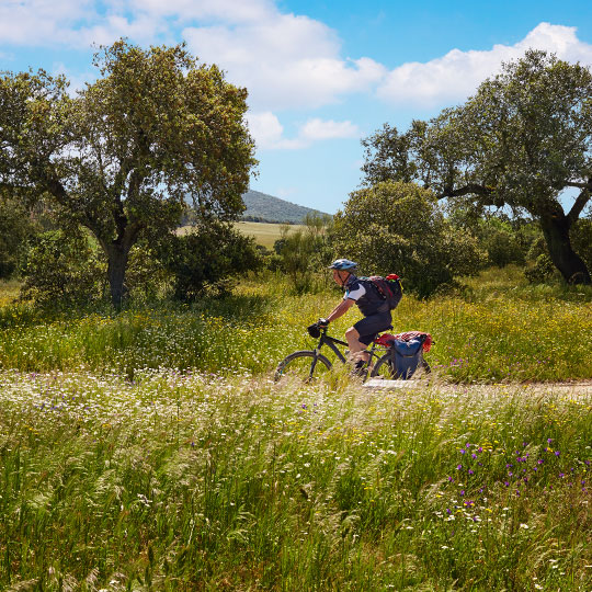 Radfahrer auf der Vía de la Plata in der Region Extremadura