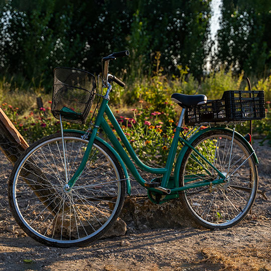  Fahrrad in einer Gemüseplantage
