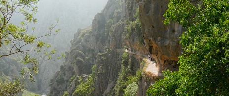 Widok pieszych wędrujących szlakiem Ruta del Cares