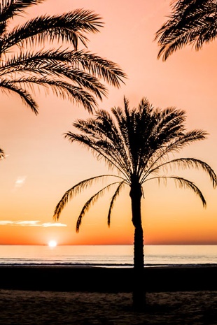  Il sole sorge sulla spiaggia di Cullera, Valencia