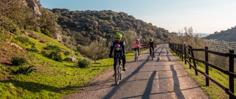 Personas practicando cicloturismo en la Vía Verde del Aceite en Jaen, Andalucía
