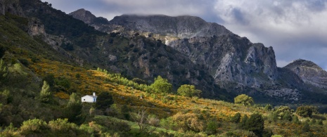 Veduta delle montagne nel Parco nazionale Sierra de las Nieves a Malaga, Andalusia