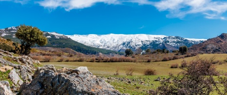 Veduta delle montagne nel parco nazionale della Sierra Nevada a Granada, Andalusia