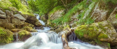 Waterfall on the river Pino in Asturias.