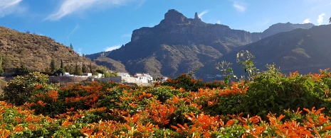 Blick auf den Roque Nublo von Tejeda, Gran Canaria