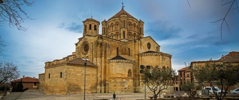  Colegiata de Santa María – Stiftskirche Santa María. Stier. Zamora