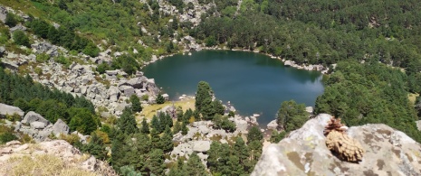 Вид на озеро Лагуна-Негра в Лос-Пикос-де-Урбион в Сории, Кастилия-и-Леон