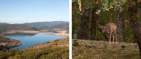 Obszar chronionego krajobrazu O Invernadeiro w Ourense, Galicja
