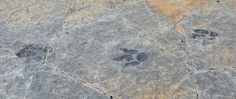 ラ・リオハ州ムニージャにある足跡化石の発掘現場の細部