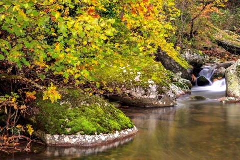 エクストレマドゥーラにあるアンブロス渓谷の秋の風景