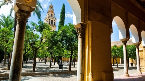 Orange Tree Courtyard in the Mosque-Cathedral of Cordoba