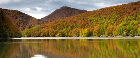Herbstliche Landschaft im Wald von Irati, Navarra