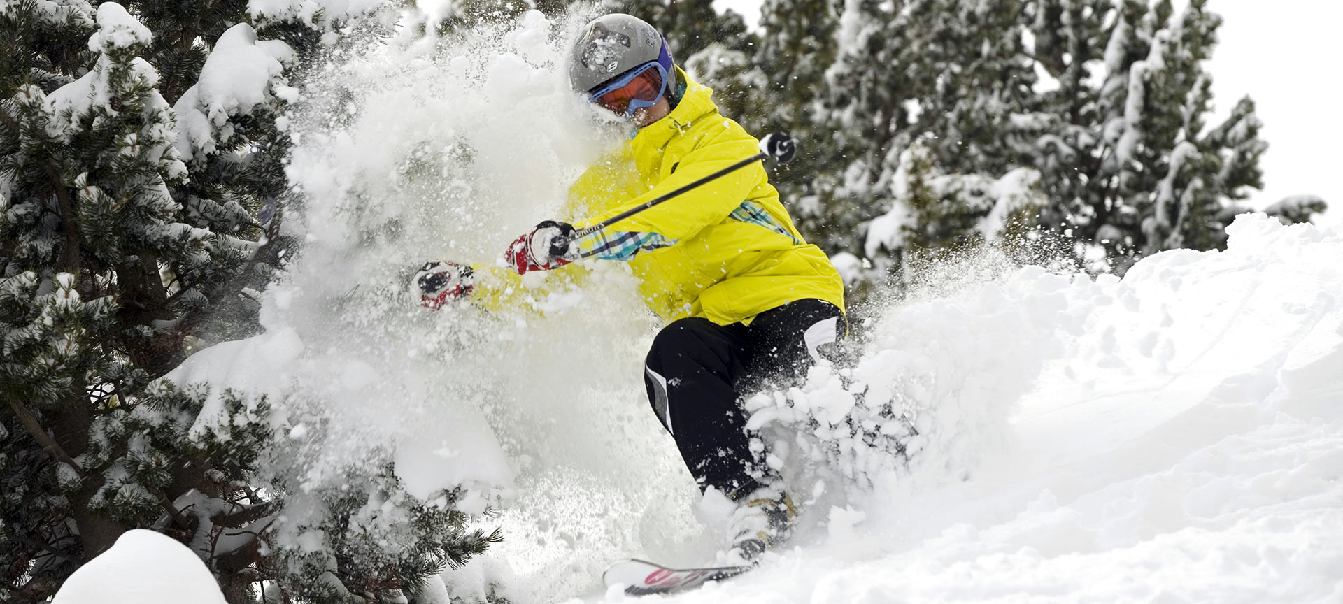 La on sale molina ski