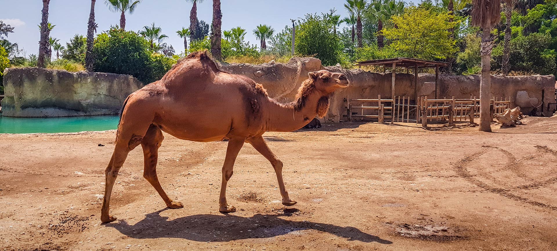 Terra Natura | spain.info in english