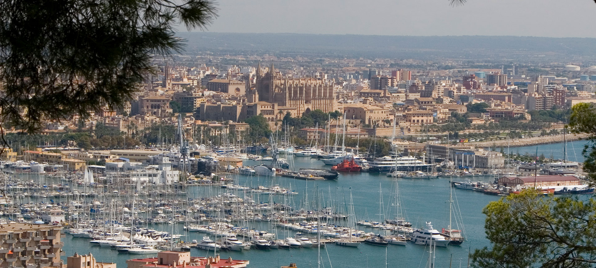 Palma Port. Tourist ports in Spain