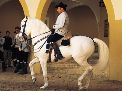 Rider at the Royal Andalusian School of Equestrian Art, Jerez  