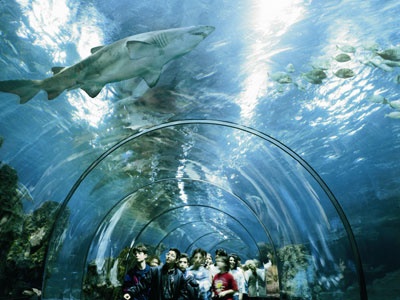 Visitors at the Barcelona Aquarium  