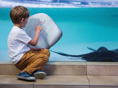 Child at Palma Aquarium 