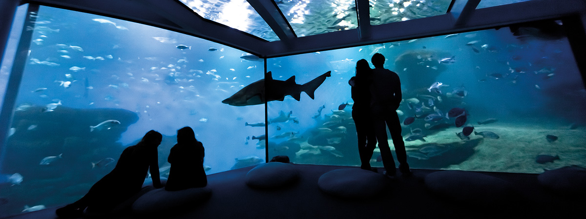 Vista de Palma Aquarium
