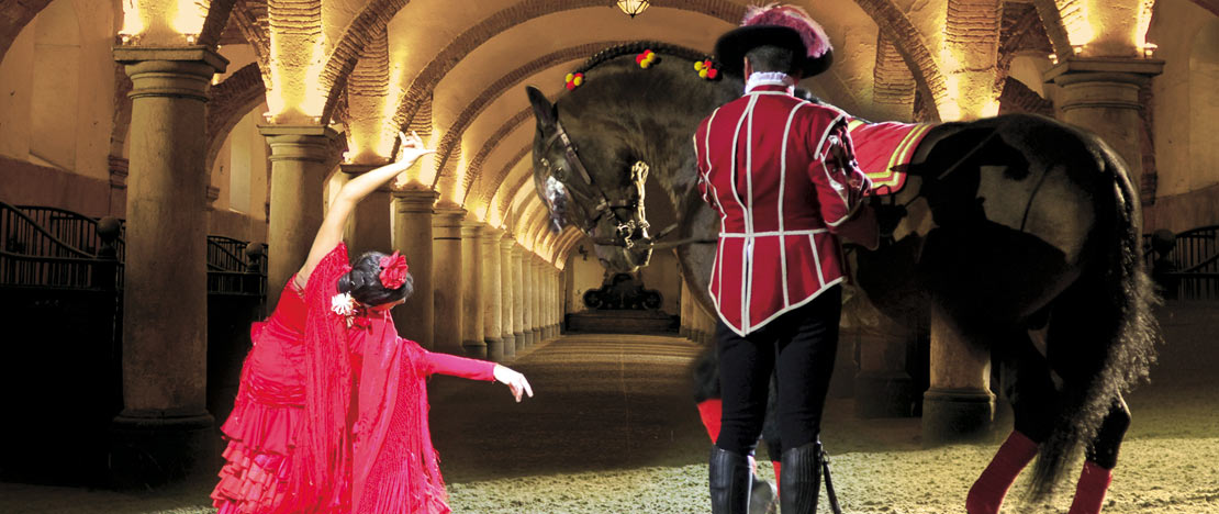 شغف و جاذبية عرض الفروسية للخيول الأندلسية