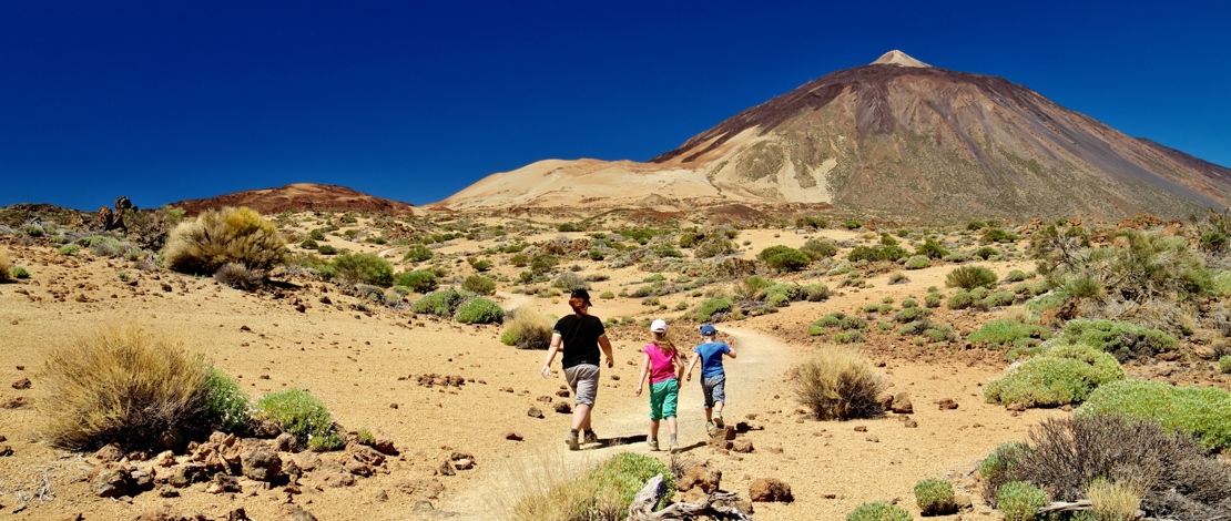 عائلة في منتزه تيد الوطني، تينيريفي عائلة في منتزه تيد الوطني، تينيريفي