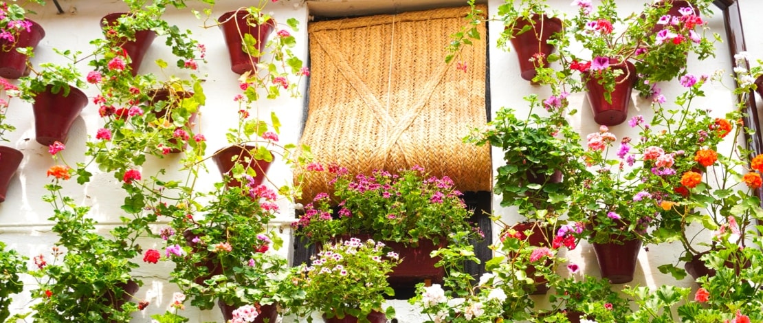 Festival of the Courtyards in Cordoba