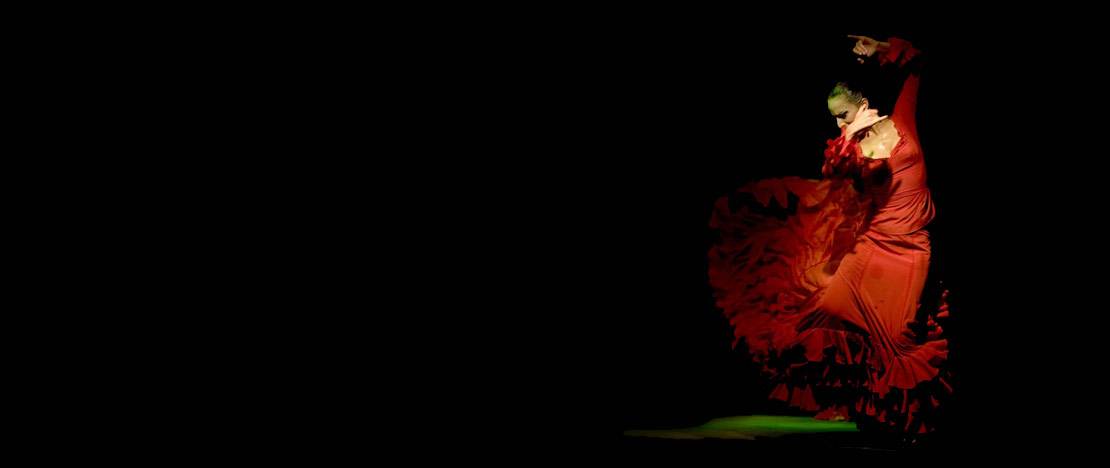 Flamenco dancer Flamenco dancer