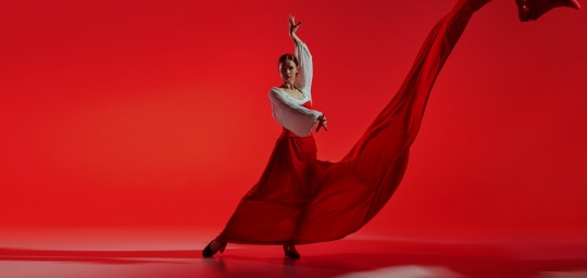 Flamenco dancer