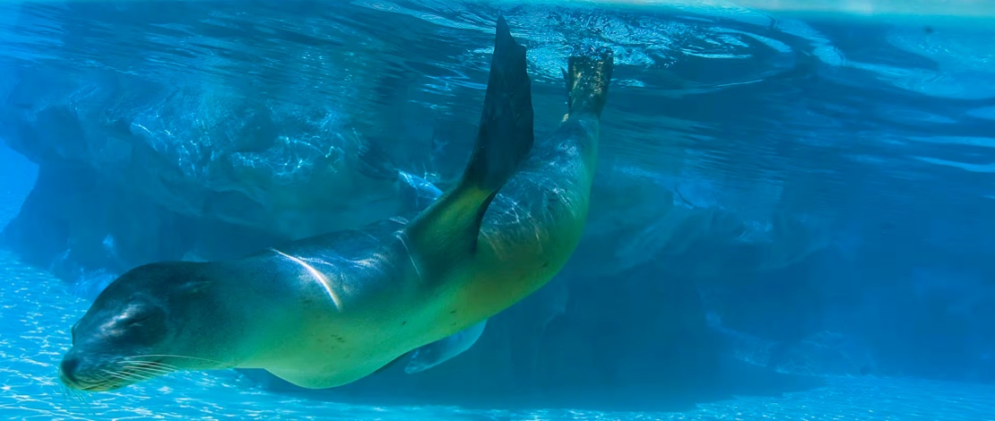 Siam Park, Tenerife Siam Park, Tenerife