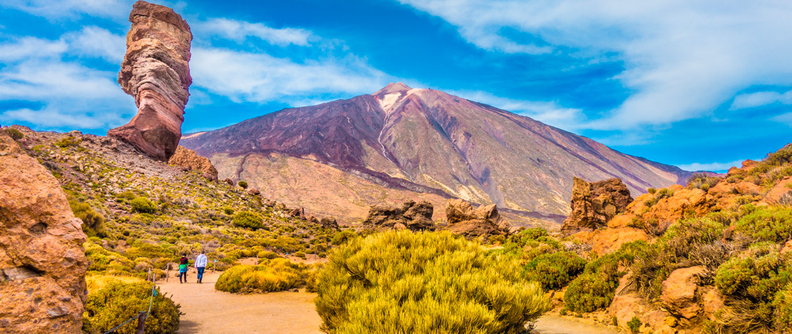 أشخاص يمشون في منتزه تيد الوطني في جزر الكناري أشخاص يمشون في منتزه تيد الوطني في جزر الكناري