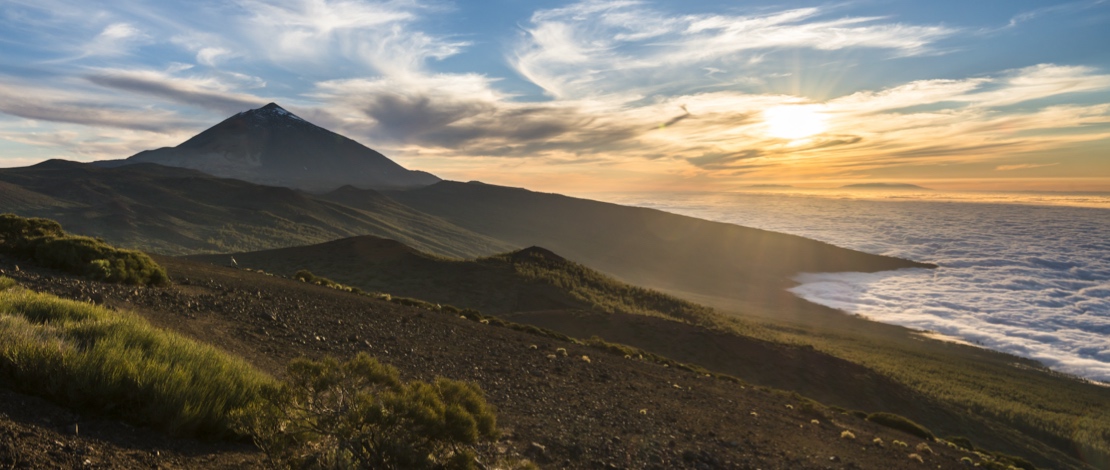 Teide National Park. Tenerife, Canary Islands Teide National Park. Tenerife, Canary Islands