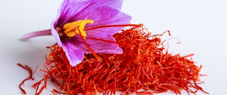 Saffron