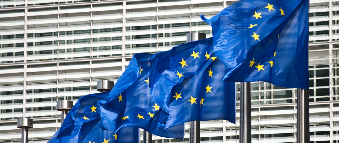 أعلام الاتحاد الأوروبي أعلام الاتحاد الأوروبي