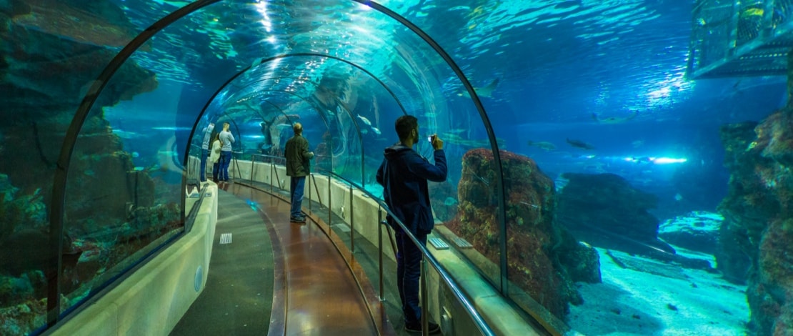 Aquarium Barcelona