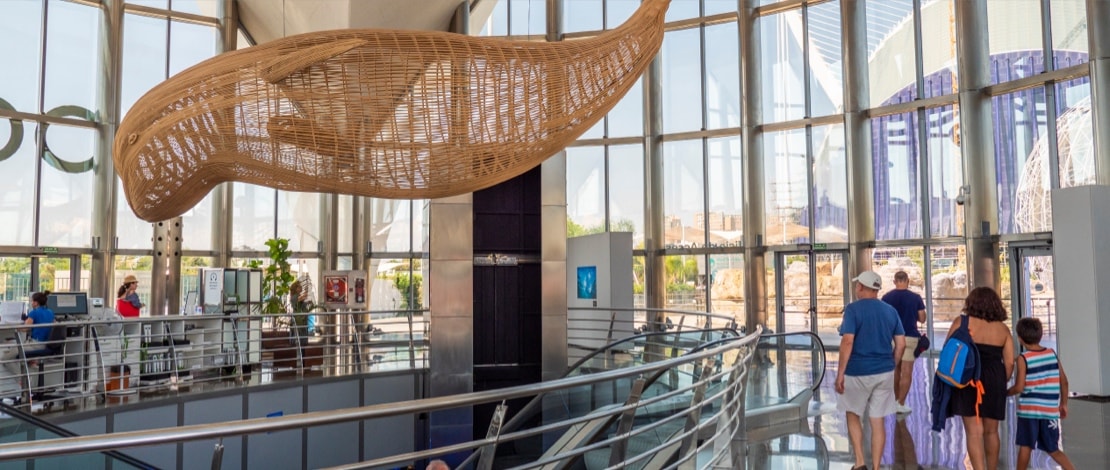 Oceanographic Valencia