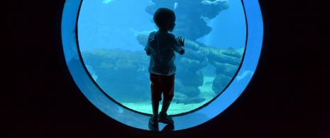 Palma Aquarium