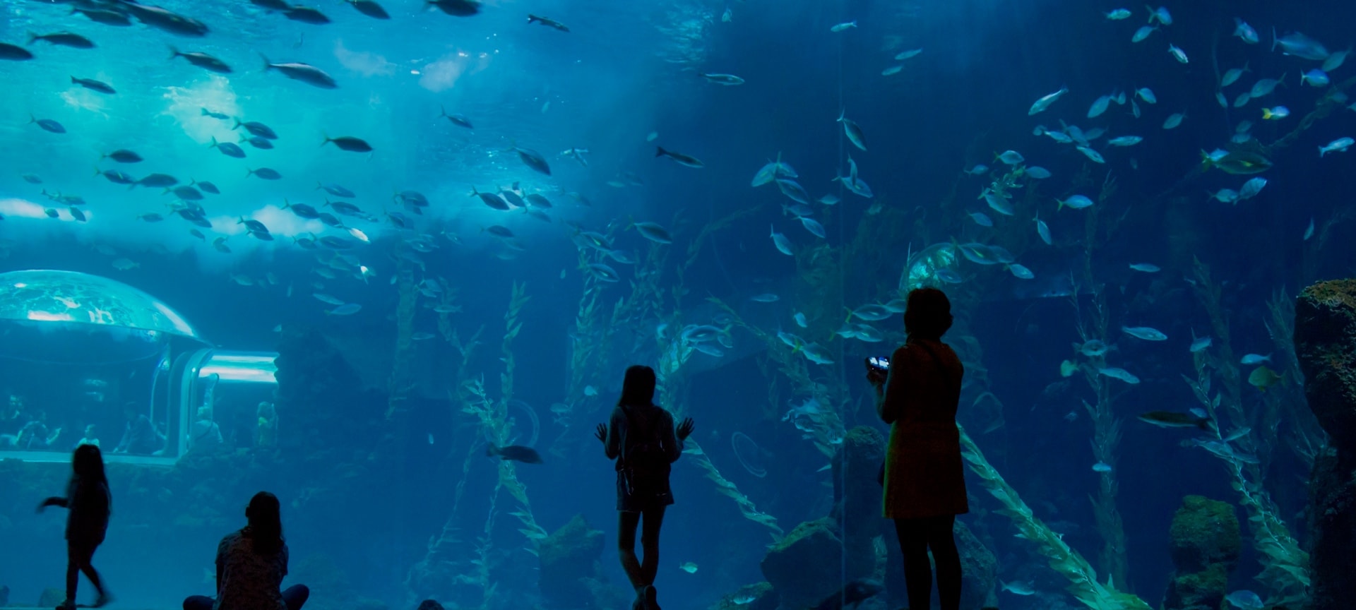Palma Aquarium Palma Aquarium