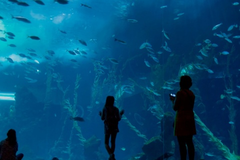 Palma Aquarium